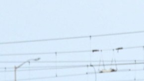 Decenas de personas se manifiestan contra ICE en Minneapolis.