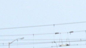 Protestas en Minneapolis tras el asesinato de Renee Nicole Good.