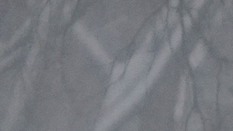 Las zonas costeras de Nueva Inglaterra, incluidas Boston y Newport, Rhode Island, podrían recibir más de tres pulgadas de nieve.