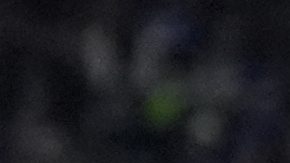 Kenneth Walker III (9) celebra un touchdown.