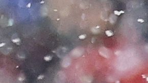 Los New England Patriots disputarán la final de la NFC contra los Broncos.