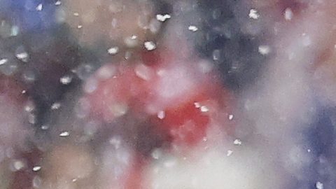 Los New England Patriots disputarán la final de la NFC contra los Broncos.