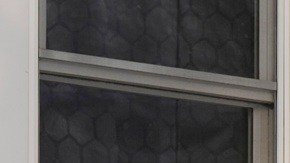 Agentes de ICE realizan operativos contra inmigrantes en viviendas.