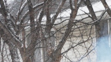 Las operaciones migratorias se han tornado más violentas.