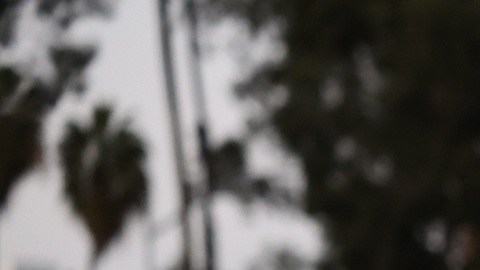 Las operaciones de ICE han desatado protestas en varias ciudades de Estados Unidos.