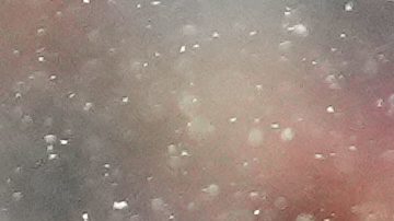 Christian Gonzalez realizó la intercepción que encaminó a los Pats al triunfo en los últimos momentos del encuentro.