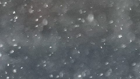 Drake Maye fue una pieza clave para que los Patriots ganaran la final de la Conferencia Americana.