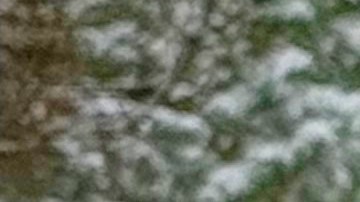 La muerte de los tres niños ocurrió en medio de una histórica tormenta invernal que ha azotado gran parte de Estados Unidos