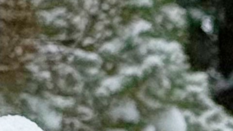 La muerte de los tres niños ocurrió en medio de una histórica tormenta invernal que ha azotado gran parte de Estados Unidos