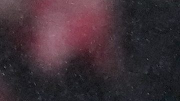 Benfica's head coach Jose Mourinho celebrates at the end of a Champions League opening phase soccer match between Benfica and Real Madrid, in Lisbon, Wednesday, Jan. 28, 2026. (AP Photo/Armando Franca)