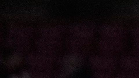 Bodo Glimt celebró su épica victoria contra el Atlético Madrid.