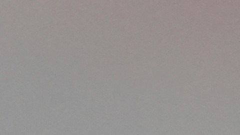 A U.S. Customs and Border Patrol agent looks on during a protest outside the Federal Building on Friday, June 13, 2025, in Los Angeles. (AP Photo/Wally Skalij)