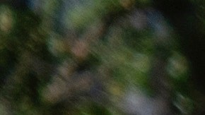 Federal agents stand at a checkpoint operated by the Metropolitan Police Department and federal agencies, including officers from Immigration and Customs Enforcement (ICE) and Homeland Security Investigations (HSI), on Georgia Avenue in the northern part of Washington, Saturday, Aug. 30, 2025. (AP Photo/Mark Schiefelbein)