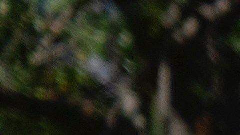Federal agents stand at a checkpoint operated by the Metropolitan Police Department and federal agencies, including officers from Immigration and Customs Enforcement (ICE) and Homeland Security Investigations (HSI), on Georgia Avenue in the northern part of Washington, Saturday, Aug. 30, 2025. (AP Photo/Mark Schiefelbein)