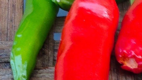 El picante que sana: cómo la capsaicina se convierte en aliada de la salud