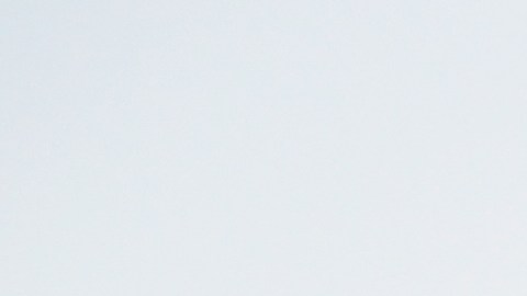 Aldi se posiciona como líder del mercado al expandirse ante los consumidores perjudicados