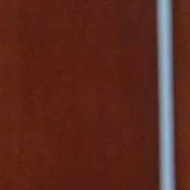 Alejandra María Ang Hernández