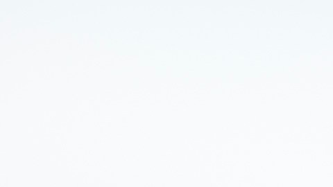 Alejandra Espinoza y Alana Tacher son los conductores estelares de ¿Apostarías por mí?