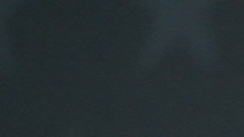 Alexander Skarsgård aclaró las especulaciones en torno a su sexualidad.