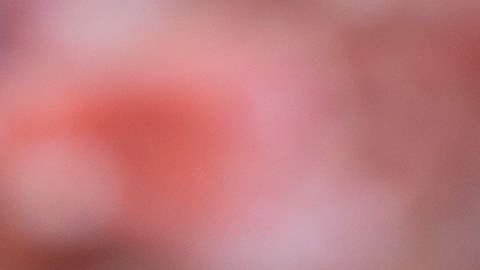 Alza en los precios de la carne de res afecta el bolsillo de las familias en EE.UU.