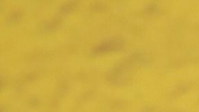 Andrea Legarreta Luis Carlos Origel