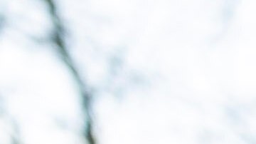 Casa Blanca revela que los líderes de Irán “llamaron” a EE.UU. y “quieren negociar” tras amenazas