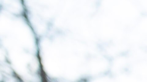 Casa Blanca revela que los líderes de Irán “llamaron” a EE.UU. y “quieren negociar” tras amenazas