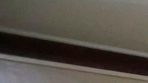 In this March 3, 2015 photo, Immigration and Customs Enforcement officers escort an arrestee in an apartment building, in the Bronx borough of New York, during a series of early-morning raids. Immigrant and Customs Enforcement say an increasing number of cities and counties across the United States are limiting cooperation with the agency and putting its officers in dangerous situations as they track down foreign-born criminals. Instead, more of its force is out on the streets, eating up resources and conducting investigations because cities like New York and states like California have passed legislation that limits many of the detention requests issued by immigration authorities. (AP Photo/Richard Drew)