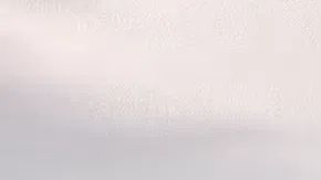 Así se presenta el Nissan NX8