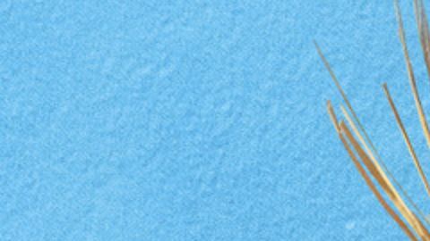 Bad Bunny Super Bowl 2026