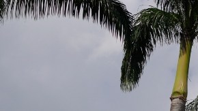 Bandera de Venezuela