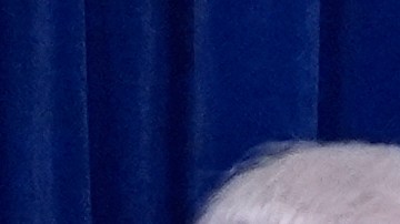 Benjamín Netanyahu y Donald Trump.