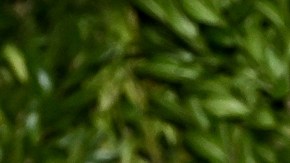 Blake Lively contrata a una abogada que trabajó con las víctimas de Jeffrey Epstein