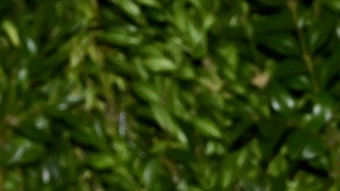 Blake Lively contrata a una abogada que trabajó con las víctimas de Jeffrey Epstein