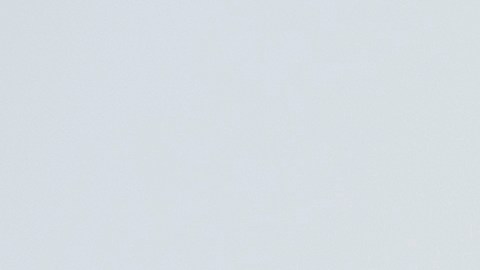 Brecha de riqueza aumenta en EE.UU.