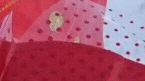 Víctimas del tiroteo en la Universidad de Brown.