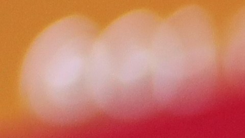 CEO de JPMorgan se pronuncia en contra de la iniciativa de Trump de imponer un límite al interés de las tarjetas de crédito