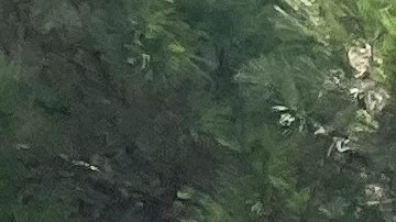 Residents in the North Canton Circle neighborhood of Jackson, Miss., on Monday, Aug. 29, 2022, were advised to evacuate from impending floodwaters. Some moved out all of their possessions in U-Haul trucks or cars. (AP Photo/Michael Goldberg)