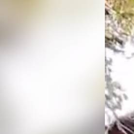 César Alejandro Sepúlveda Arellano