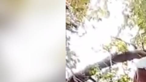 César Alejandro Sepúlveda Arellano