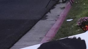 Tributo al activista Charlie Kirk asesinado en la Universidad del Valle de Utah