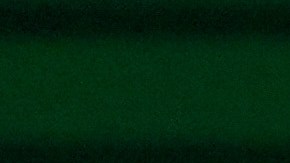 Universidad acuerda pago de $500,000 a profesor despedido por publicación sobre Charlie Kirk