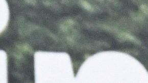 Chris Pratt Arnold Schwarzenegger