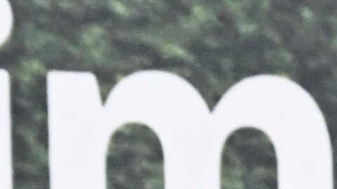 Chris Pratt Arnold Schwarzenegger