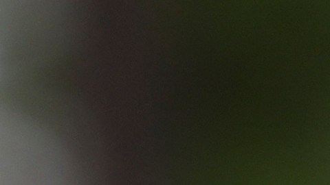 Police tape cordons off an area outside Pennsylvania governor's official residence in Harrisburg, Pa., Monday, April 14, 2025. (AP Photo/Matt Rourke)