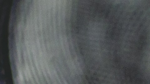 Cómo reconocer la valiosa moneda de diez centavos de Roosevelt