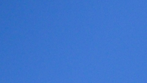 Costco sorprende con un aumento en las recompensas de gasolina para sus socios