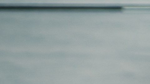 Cuentas Trump para niños recién nacidos