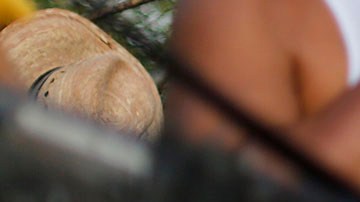 Violencia en México