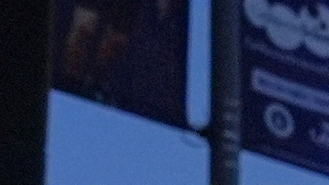 Maribel Parra screams as protesters confront a line of police near the metropolitan detention center of downtown Los Angeles, Sunday, June 8, 2025, following last night's immigration raid protest. (AP Photo/Jae Hong)